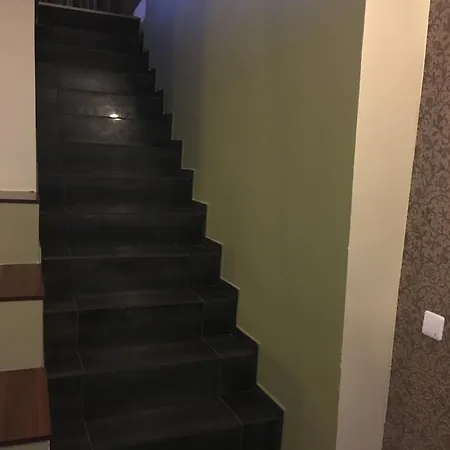 公寓 李家公寓酒店 塔林