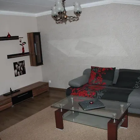 公寓 李家公寓酒店 *