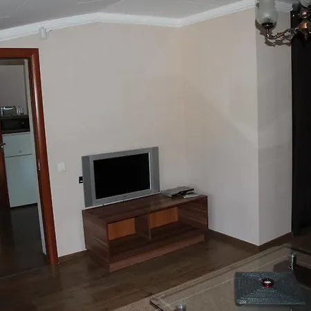 公寓 李家公寓酒店 *